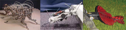 Roger Quinn - Insect-like robots