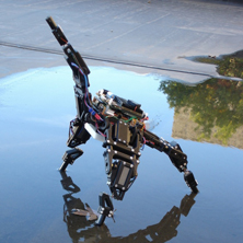 Talking Robot Podcast - A starfish robot resilient to damage through continuous self modeling